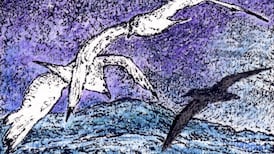 Another Life: How a ‘smell’ can transform the sea