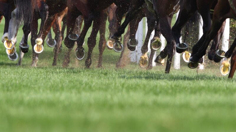 Join the racing fun at Leopardstown from December 26th to December 29th. Photograph: iStock