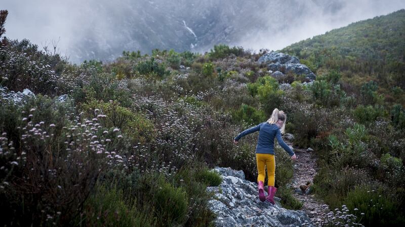 ‘The green ditches and soft grass along the road sway in the breeze, wildflowers and old stonework poke through them, desperate to be seen.’ Photograph: iStock