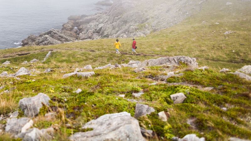 Irish Loop: Ferryland Head, a narrow spit of land that attracted many shipwrecks in the past. Photograph: Candace Kennedy/New York Times