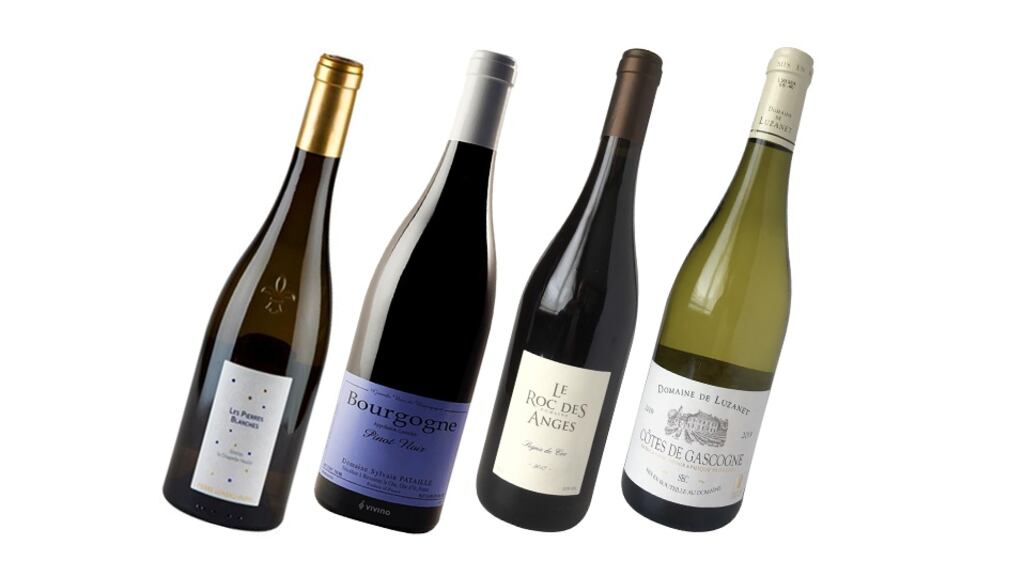 Muscadet and Bourgogne Rouge are not generally names to get the label readers excited, but the two here are both made by producers at the top of their game