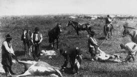 Rambles in Ireland – and Argentina