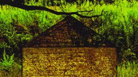 Liberation Prophecy: Invisible House