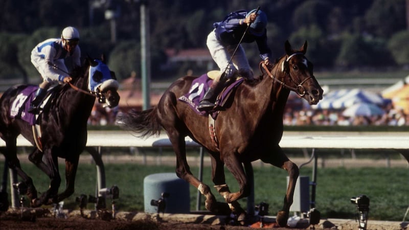 Arcangues pulls clear of favourite Bertrando in the 1993 Breeders Cup Classic. Photograph: JD Cuban/Getty
