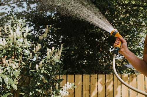 How can I protect my garden from drought?