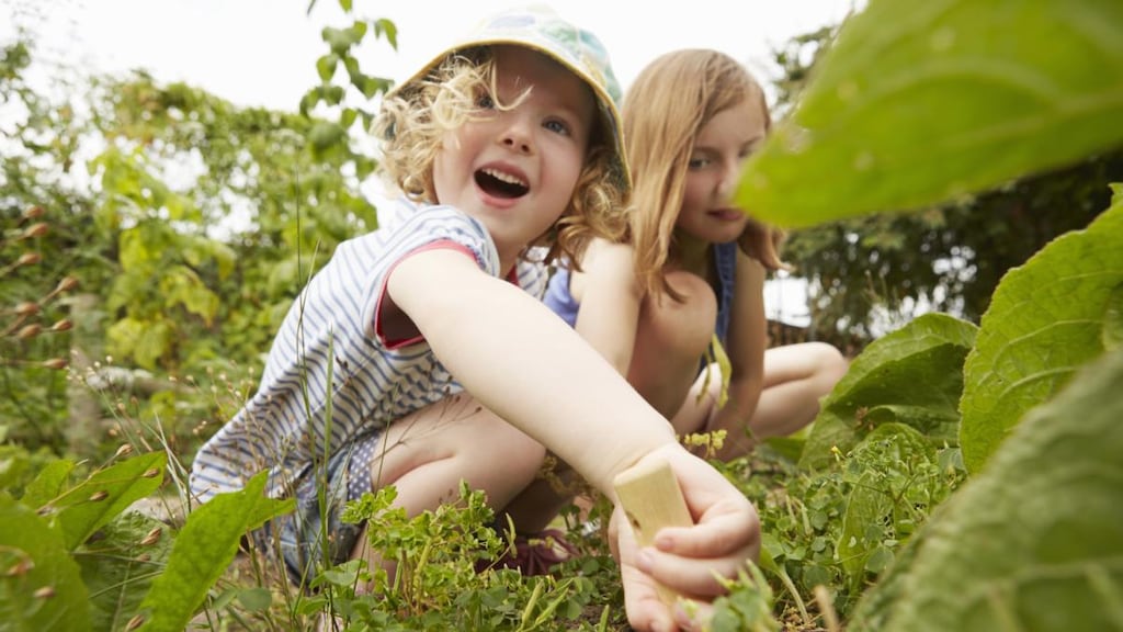 From garden festivals and talks to the hundreds of lovely Irish gardens open to the public, there is plenty to enjoy this month. Photograph: Getty Images