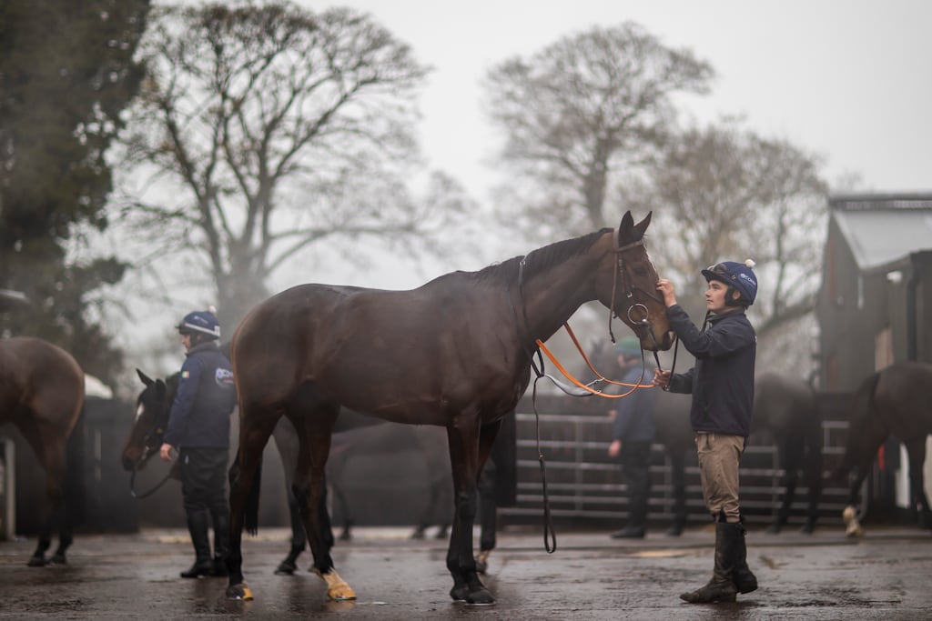 Favori De Champdou brought up a hat-trick of wins for trainer Gordon Elliott at Thurles on Thursday. Photograph: Morgan Treacy/Inpho