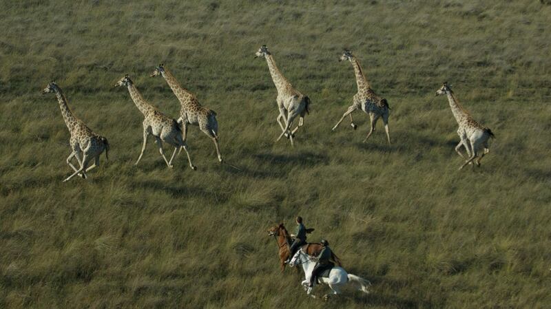 Game viewing on horseback at the Okavango Delta in Botswana