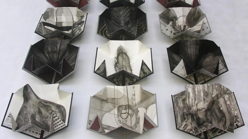 From Sioban Piercy’s exhibition Foreign Bodies