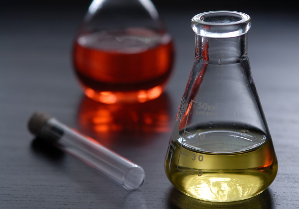 Professional, scientific and technical activities saw the biggest increase in output values over 12 months, the CSO said.