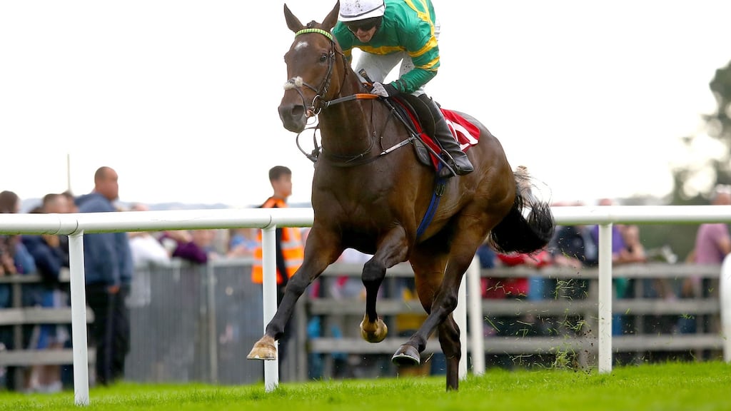 Ilikedwayurthinkin: Alfa Mix’s stable companion first made an impression over flights when striking twice at the 2019 Galway festival and subsequently has won two of his seven starts over fences. Photograph: James Crombie/Inpho