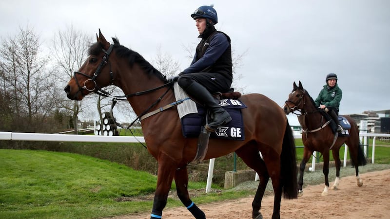 Keith O’Donoghue rides out four-time Festival winner Tiger Roll. Photograph: Dan Sheridan/Inpho