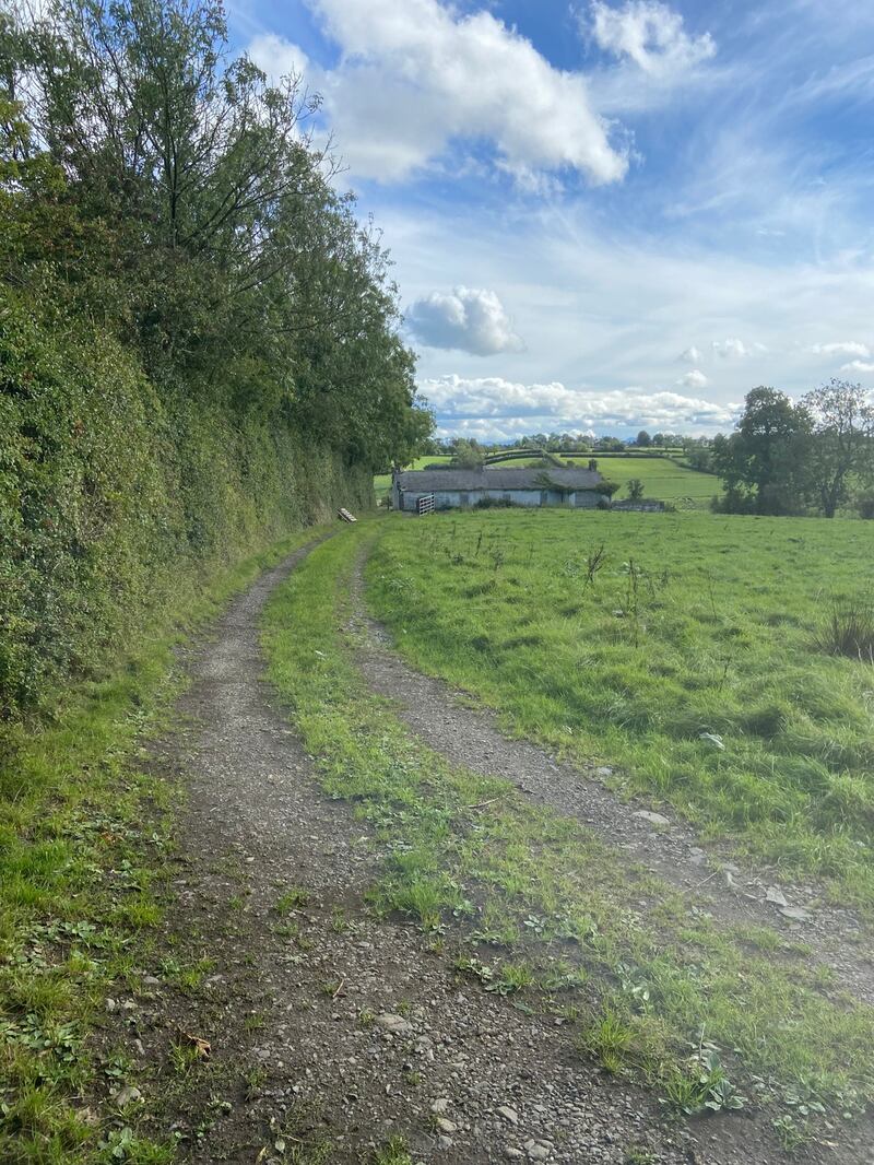 The laneway leading to the remote O’Dowd farmhouse.