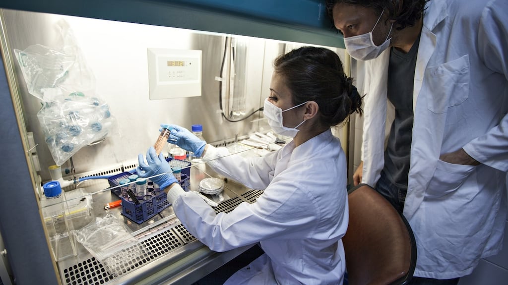 The affair shows the need for every doctor to have someone looking over their shoulder as a second opinion. File photograph: Getty Images