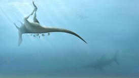 A new species of dinosaur discovered on the Isle of Wight