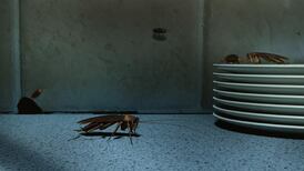 Cockroaches and mould among complaints about emergency housing