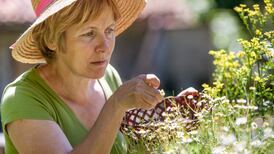 Practical steps to connect with and enhance nature in people’s lives