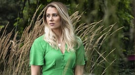 Evanne Ní Chuilinn tells Seanad that brother’s struggle with addiction led her to politics