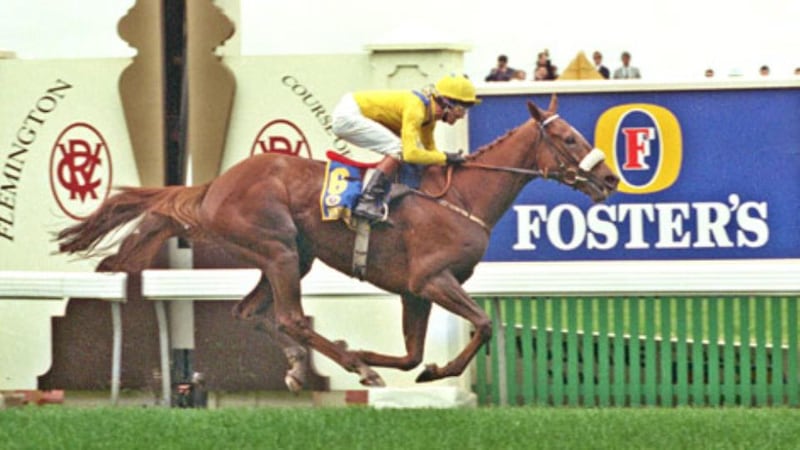 Vintage Crop wins the 1993 Melbourne cup.