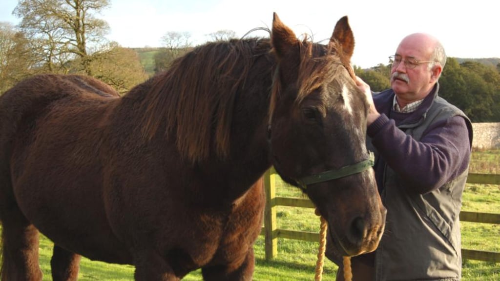 Peter Fallon, with Moses Hill in Loughcrew. Photograph: Suella Holland/The Gallery Press