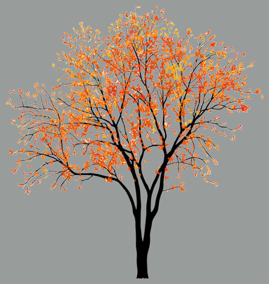 Poem of the Week: Fewer illustration