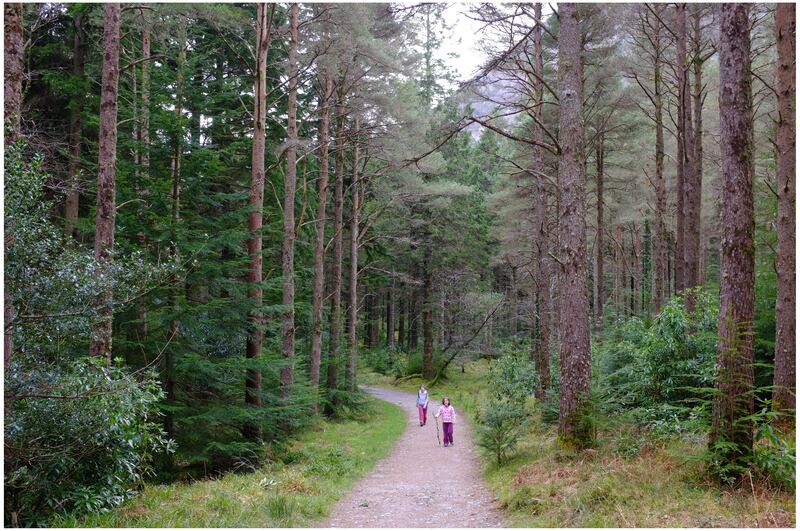 The Old Kenmare Road which forms part of the Kerry Way near Torc Mountain above the lakes of Killarney, Co Kerry. Photograph: Bryan O'Brien