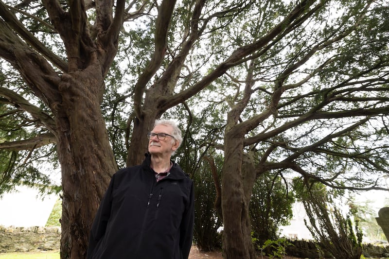 Martin Bradley beside a yew tree in a graveyard in Lifford, Co Donegal. Photograph: Joe Dunne