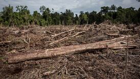 ‘Don’t Dig up the Green’: Satirical palm oil protest held in Dublin
