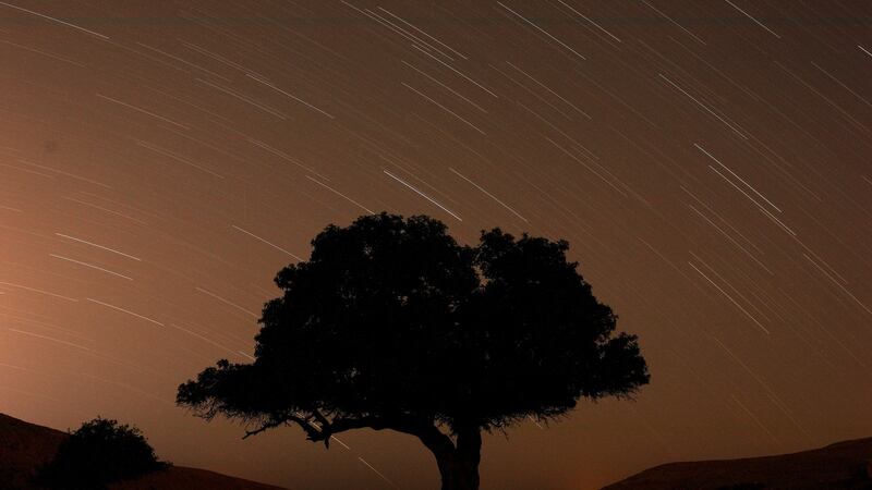 A long exposure shows stars behind a tree during the annual Perseid meteor shower near the town of Mitzpe Ramon, in southern Israel. Photograph: Reuters/Amir Cohen