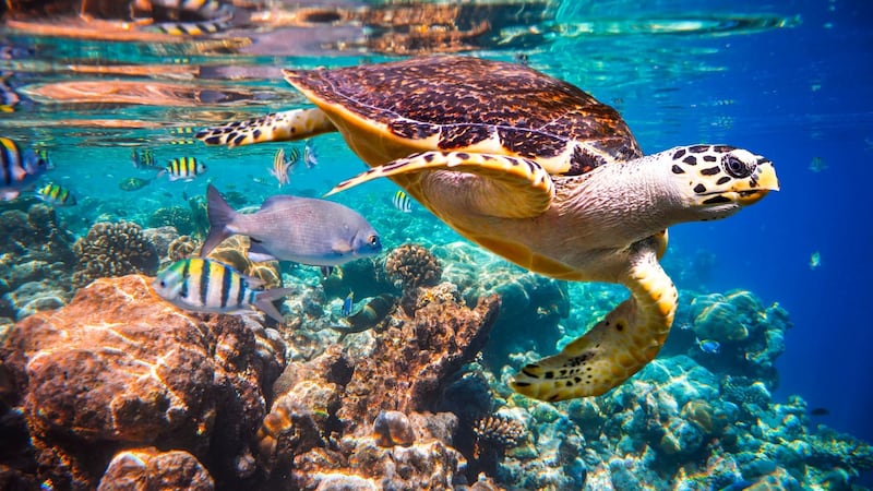 300 to 400 million tons of heavy metals, solvents, toxic sludge and other wastes from industrial facilities are dumped annually into the world’s waters, the report found.