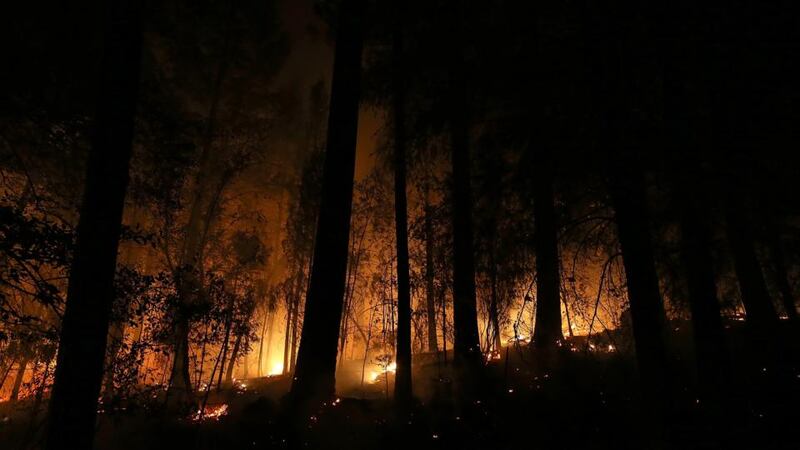 Tourists flee huge Yosemite wildfires