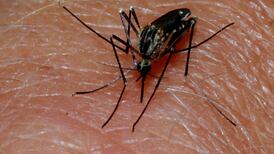 Report on controversial anti-malarial drug to remain secret