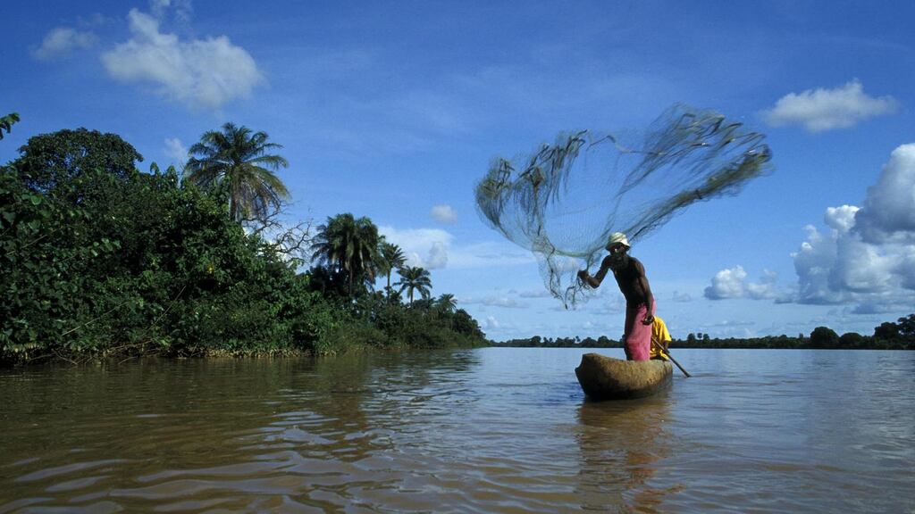 Fisherman, River Gambia, Gambia, Africa