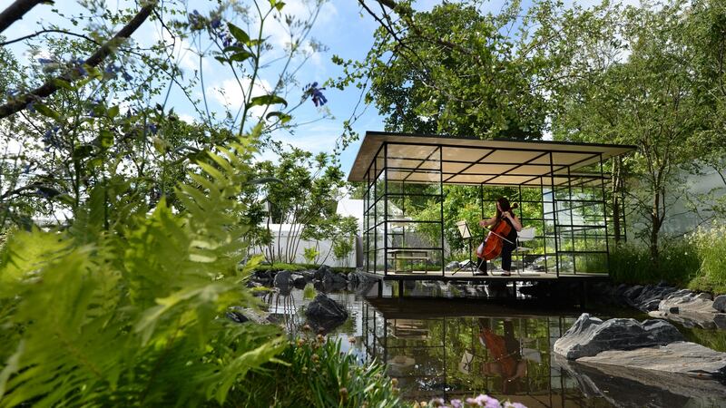 Jenny Dowdall, cellist playing in FBD Insurance’s ‘Transition’ designed by Oliver and Liat Schurmann. Photograph: Dara Mac Dónaill / The Irish Times