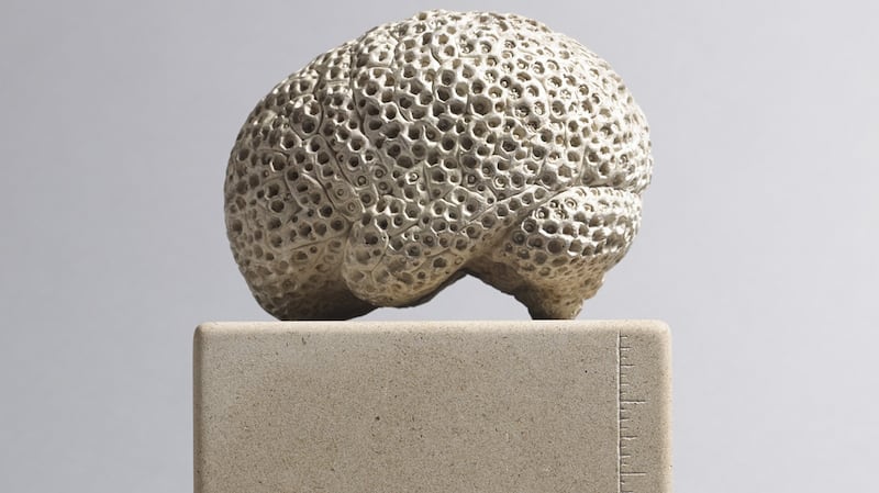 Fathom (Opt01) by Rachel Joynt