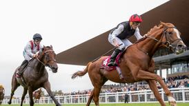 Kyprios lives up to his star billing with Irish St Leger success