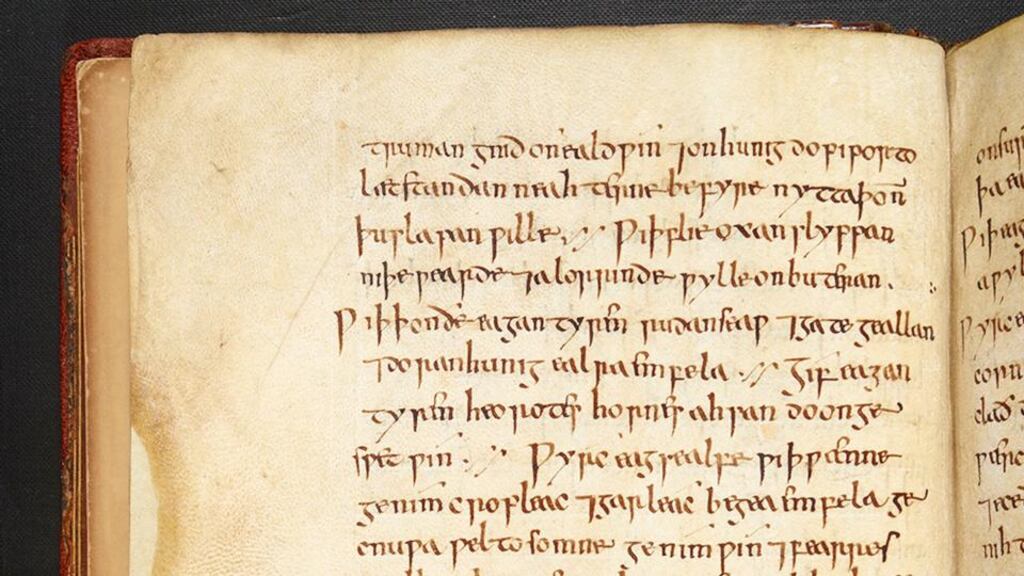 A garlic-based ‘potion’  listed in a 1,000-year-old Anglo-Saxon manuscript. Researchers in the University of Nottingham  have found that the recipe  is able to kill off the MRSA superbug.  Photograph: The British Library Board (Royal 12 D xvii)/PA Wire
