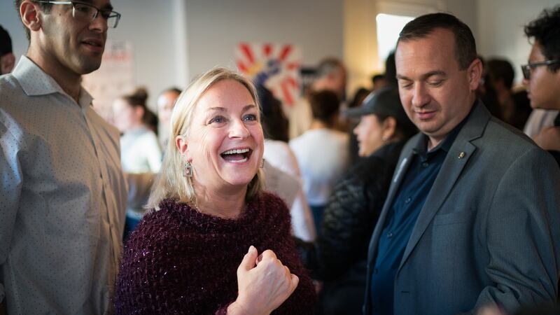 Susan Wild, one of the Deomocratic female candidates running for Congress in Pennsylvania. Photograph: Erin Schaff/The New York Times