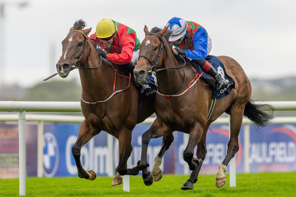Seamie Heffernan on Dunum (left) holds off Nicola Burns on Bear Profit to win the Colm Quinn BMW Mile at the Galway Races. Photograph: Morgan Treacy/Inpho