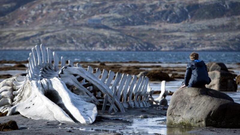 Leviathan review: an uneasy allegory on modern Russia