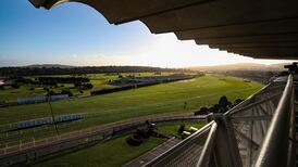 Horse Racing Ireland make their four tracks available to government