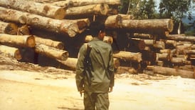 The true cost of that tropical hardwood table