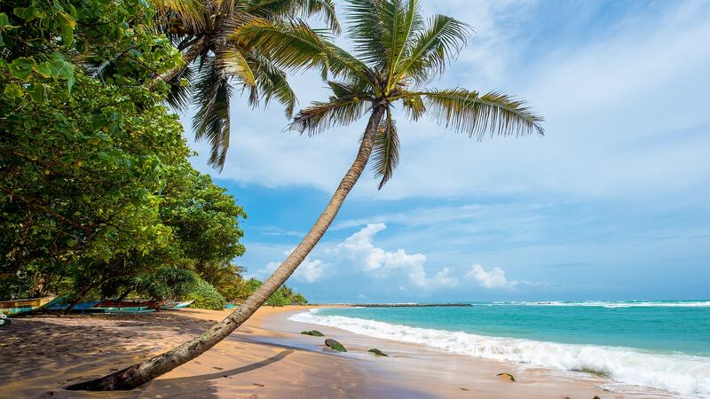Tropical beach at Mirissa, Sri Lanka. Photograph: Getty Images