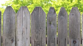 Smoke from neighbour’s boiler & trees blocking out sunlight