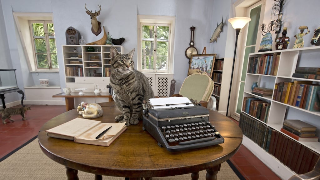A cat sits on a writing table once used by Ernest Hemingway in the author’s studio at the Ernest Hemingway Home & Museum in Key West, Florida. As winner of the Florida Keys Flash Fiction literary contest, Denyse Woods will spend up to 10 days writing in the study. Photograph: Rob O’Neal/Florida Keys News Bureau/HO