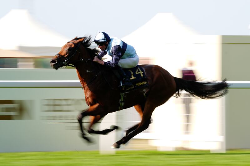 Trinity College ridden by Ryan Moore on their way to winning the Hampton Court Stakes on day three of this year's Royal Ascot. Photograph: David Davies/PA