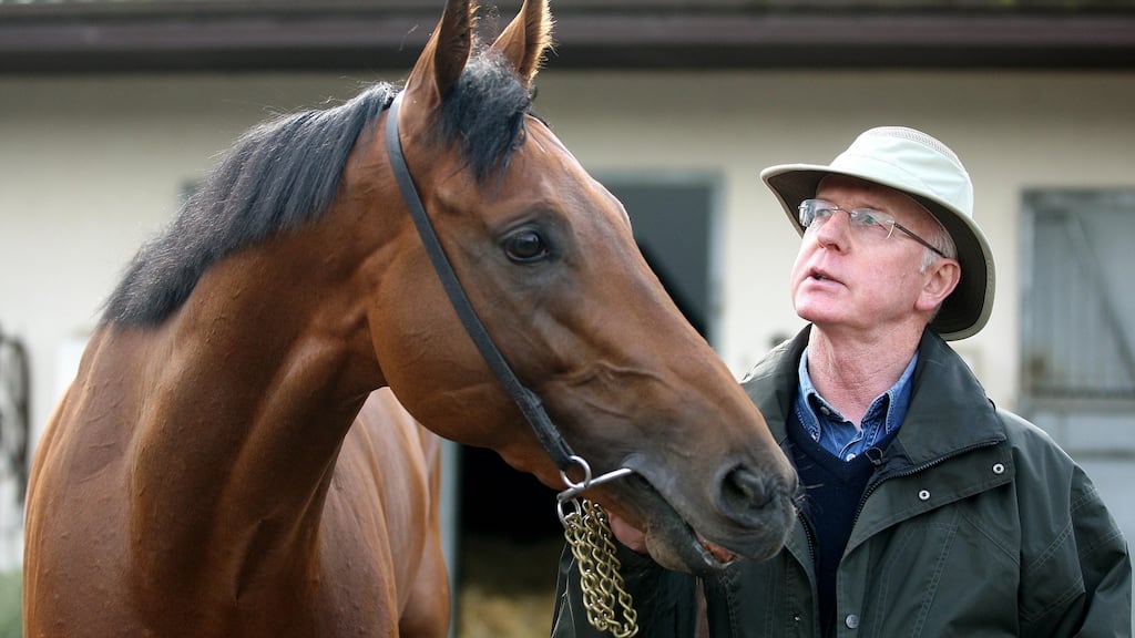 John Oxx will need to have Born To Be at his best to win the Blenheim Stakes. Photograph: Lorraine O’Sullivan/Inpho.