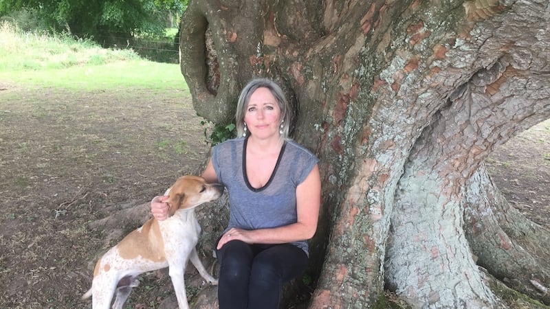 Attractive Georgian house now a viable business