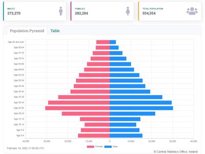 Dublin's population pyramid from the 2016 census