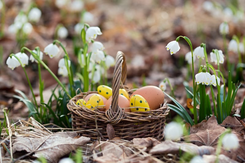 There are plenty of Easter egg hunts happening around the country. Photograph: iStock